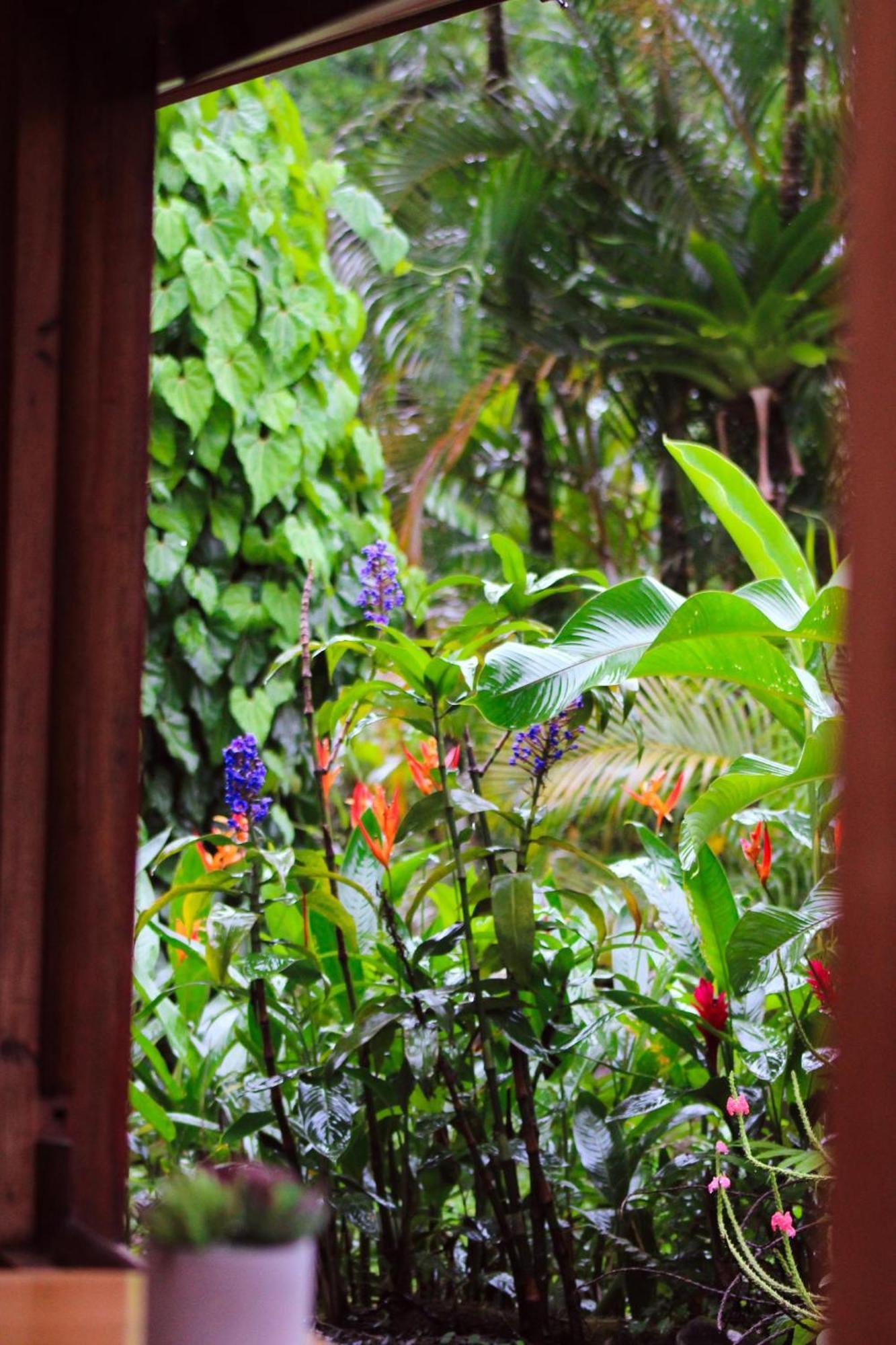 Sueno Rio Celeste Boutique B&B Bijagua Exterior photo